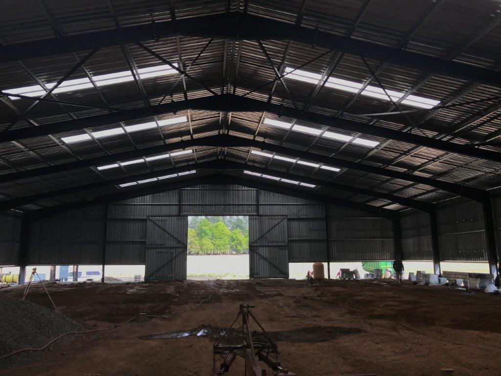 Shed